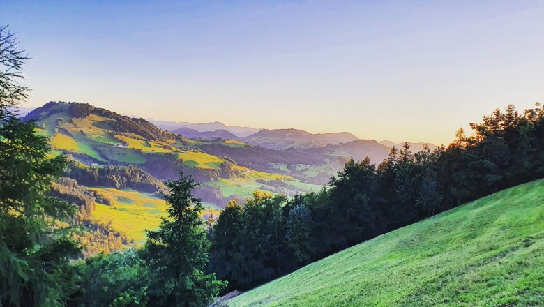 IMG_20220702_205644_850, &copy; Familie Schweighuber