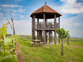 Rozhľadňa sa majest&aacute;tne t&yacute;či nad kopcami vin&aacute;rskej oblasti, obklopen&aacute; bujnou vinicou, ktor&aacute; sa leskne v teplom slnečnom svetle. Tu sa v&aacute;m otvor&iacute; &uacute;chvatn&yacute; v&yacute;hľad na malebn&uacute; krajinu, ktor&yacute; v&aacute;s poz&yacute;va, aby ste sa tu zdržali a vychutnali si ho.