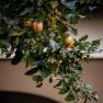 Apple tree, Am Arkadenhof, © Martina Siebenhandl
