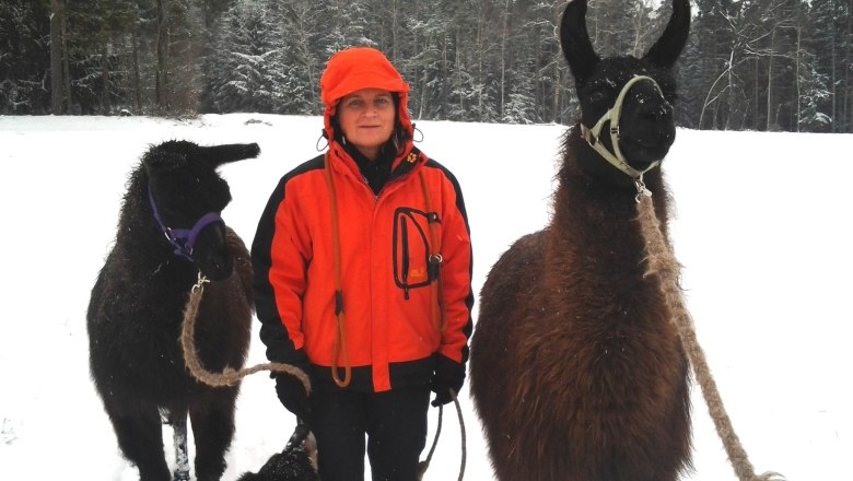 Llama hike, &copy; Kleindienst