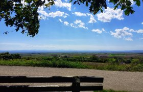 WAG_Riedweg_c_Verena Schnatter, &copy; Verena Schnatter