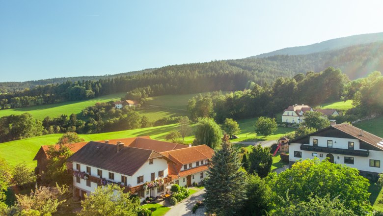 Vidiecka krajina s domami, lúkami a lesom v pozadí.