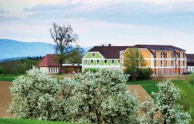 To the pear tree blossom, © Mostlandhof