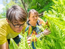 Farnschlucht, &copy; Matthias Ledwinka