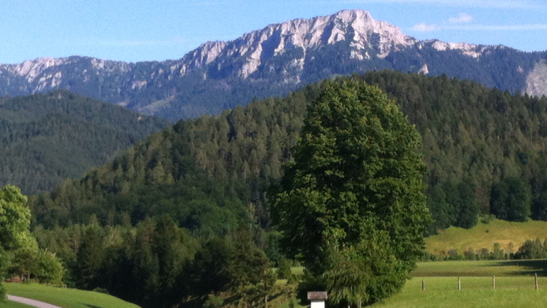 gippel, &copy; Tourismus St. Aegyd