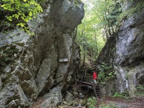 Start der Steinwandklamm, &copy; Wienerwald Tourismus GmbH_Christian Handl