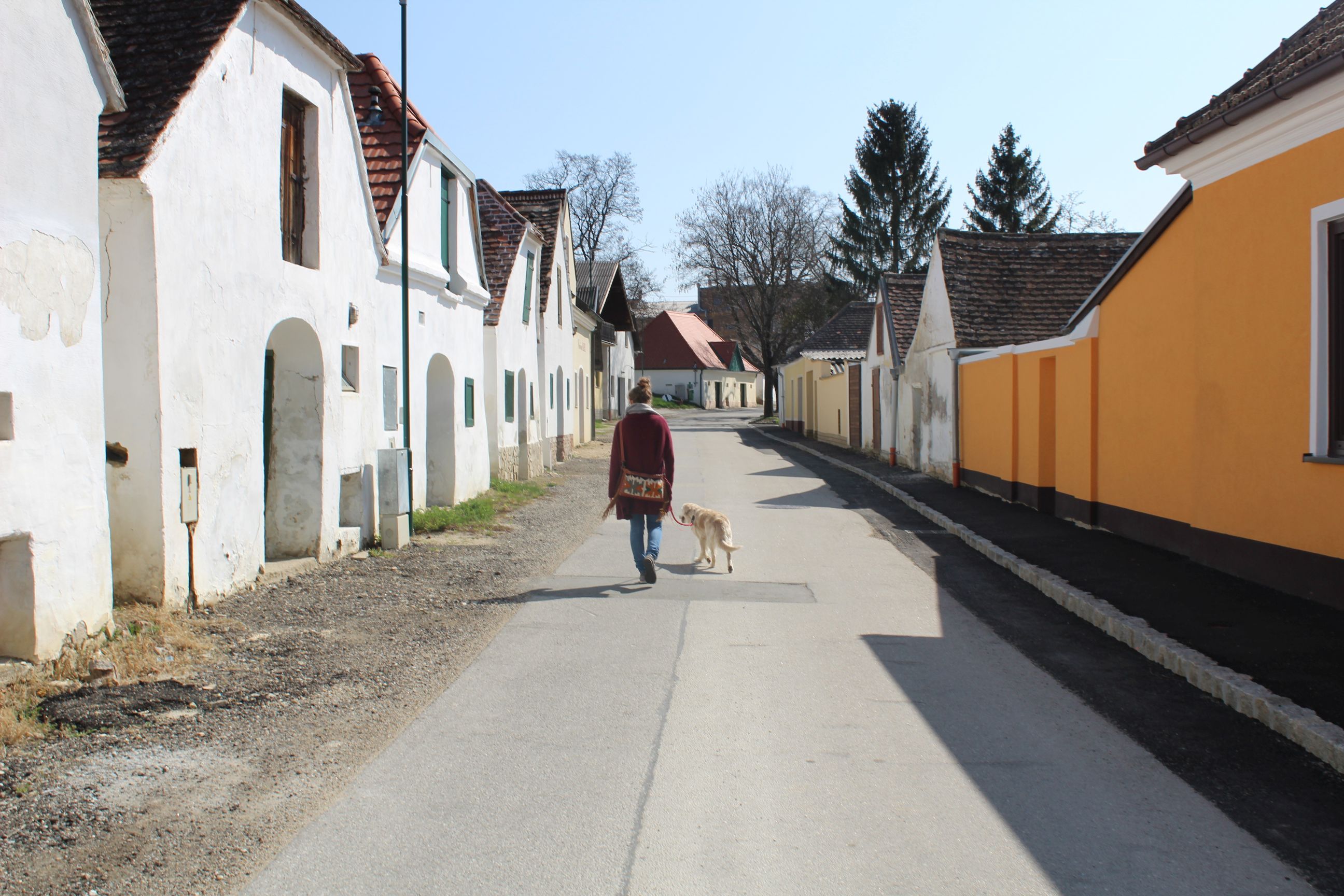 Osoba so psom v Vínnej uličke Mailberg, obklopená tradičnými budovami.