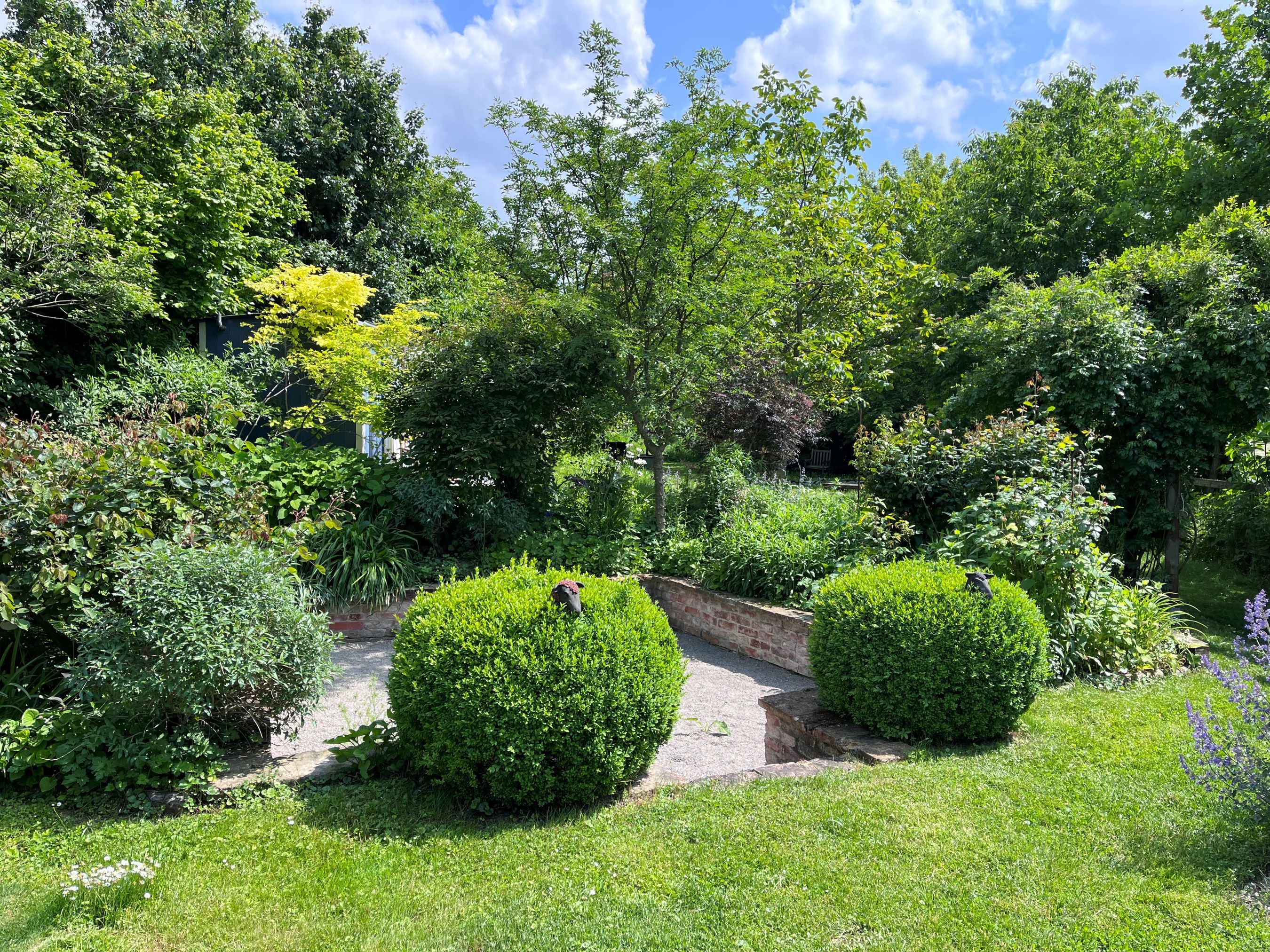 Zelená výstavná záhrada s kríkmi, stromami a vydláždeným chodníkom.