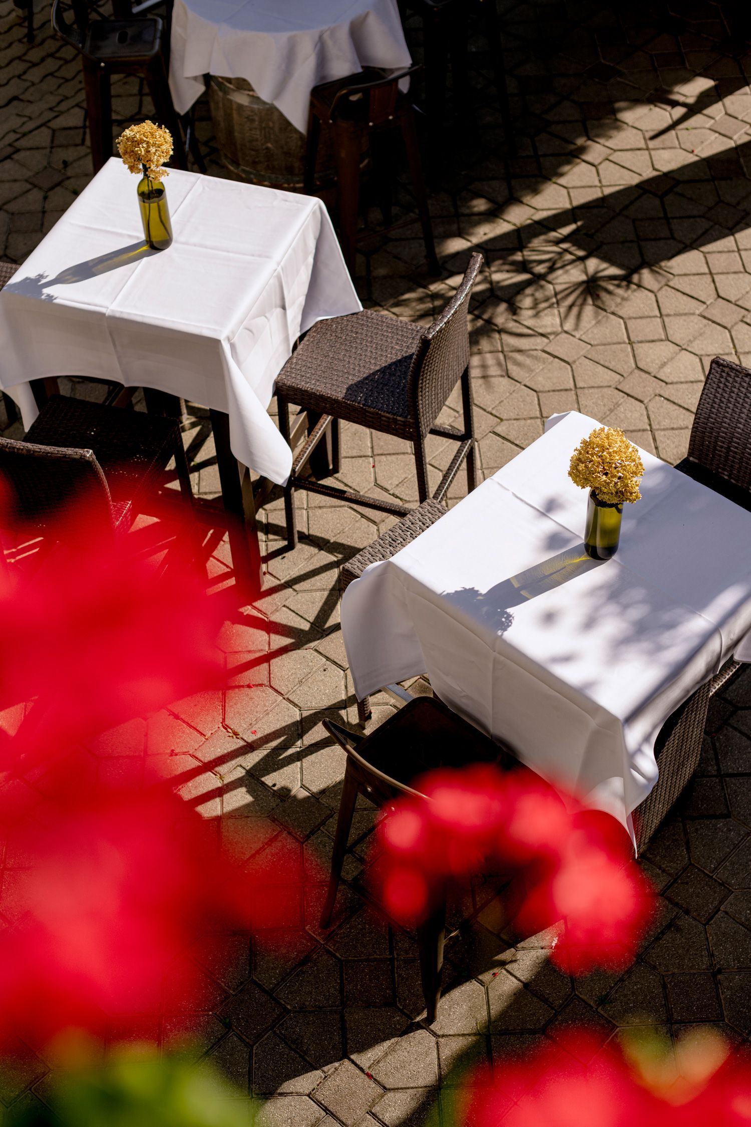 Gasthof Hoffmann, záhrada pre hostí 