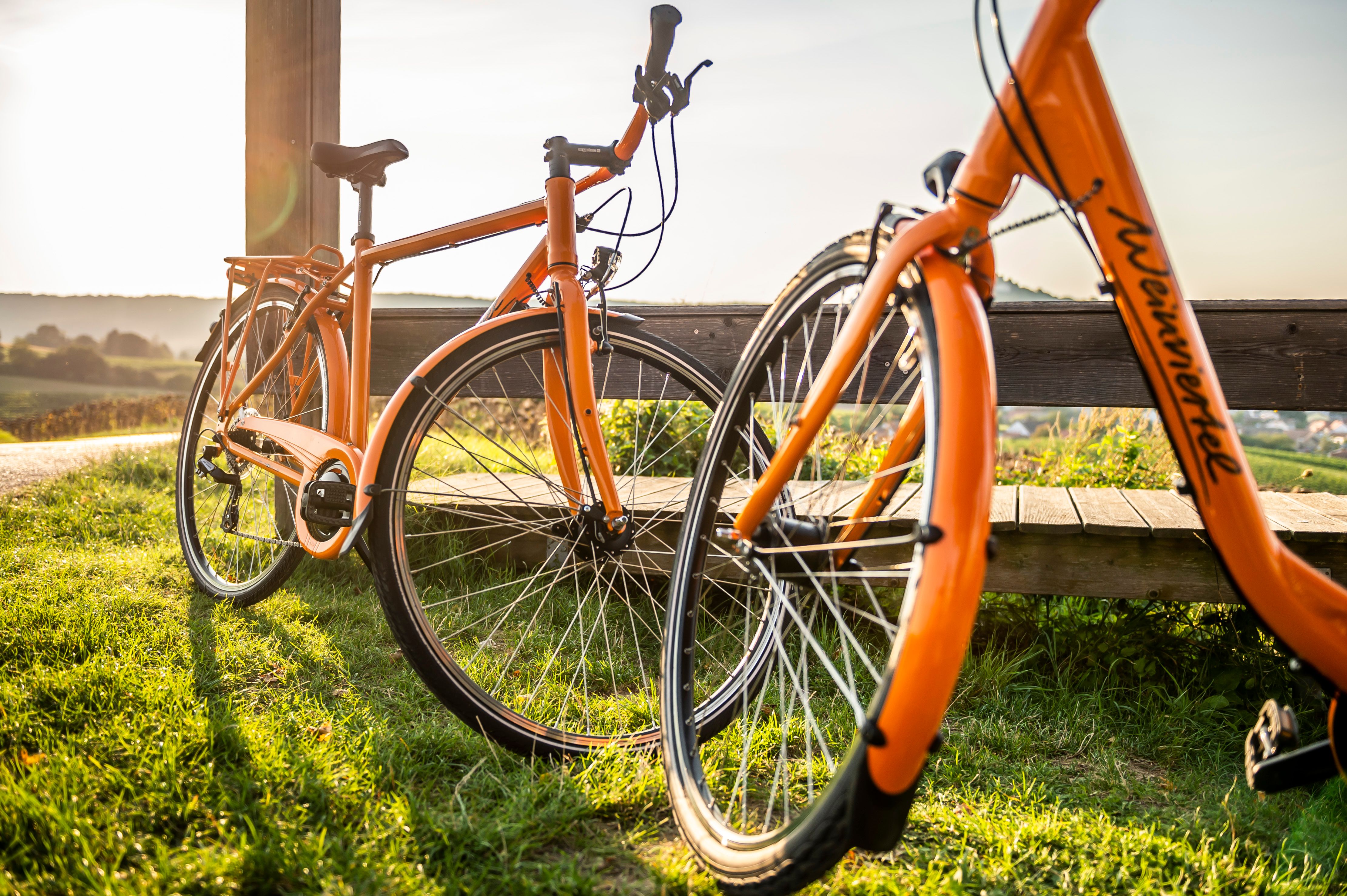 Dva oranžovo sfarbené bicykle sú zaparkované na lúke vedľa drevenej lavičky, v pozadí je kopcovitá krajina pri západe slnka.
