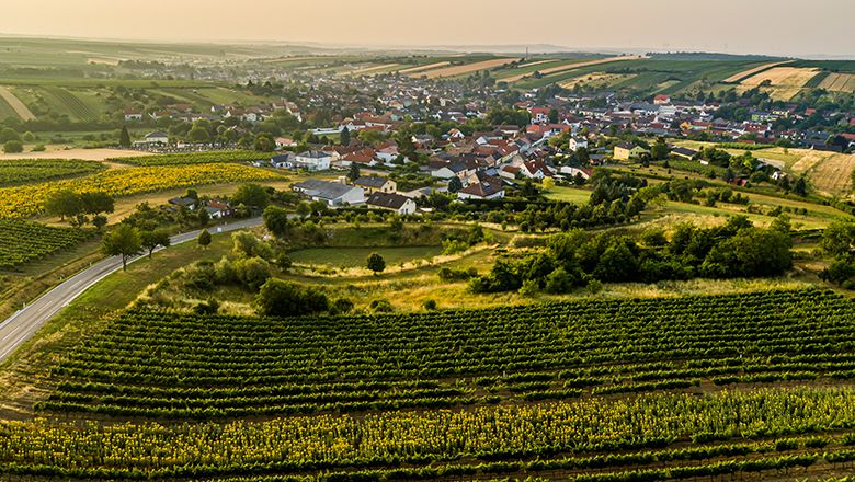 Letecký pohľad na Herrnbaumgarten s vinicami v popredí.
