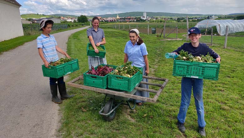 At the vegetable field, © Gutes vom Gutshof