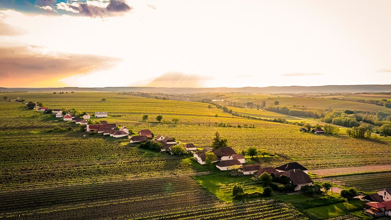 Pivničná ulička Zellerndorf, © Weinviertel Tourismus/Robert Herbst