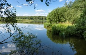 Bruneiteich, &copy; Matthias Schickhofer