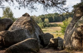 Naturpark Blockheide, &copy; Waldviertel Tourismus, Erwin Haiden