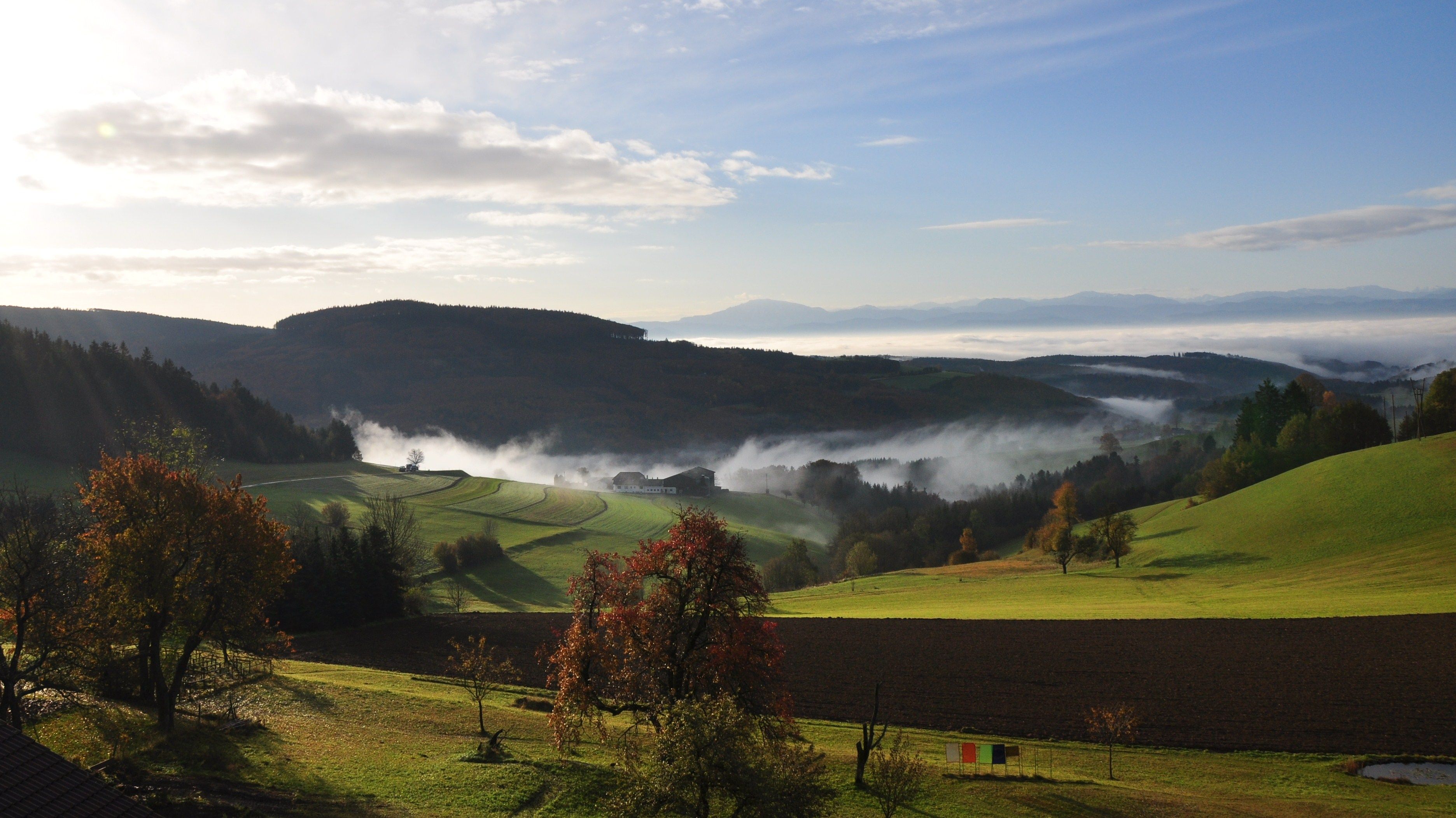 Krajina v južnom Waldviertli s kopcami, stromami a hmlou.