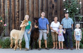 Sonnleiten Alpacas, &copy; Theo Kust