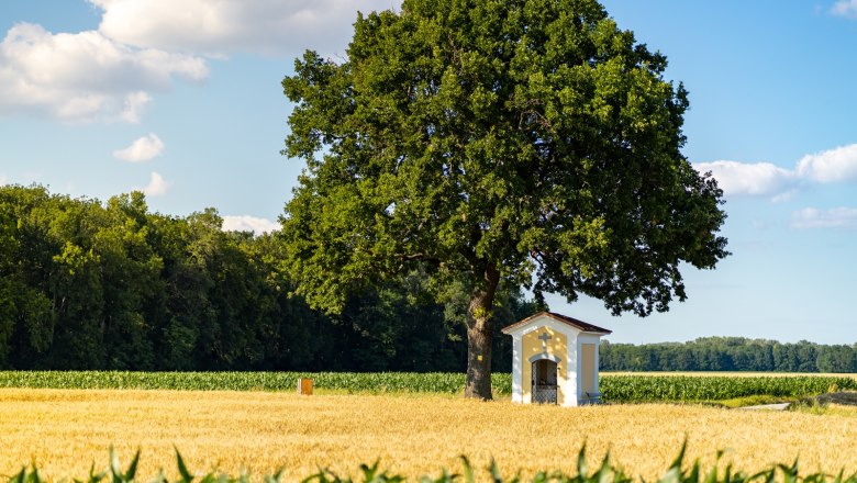 Loechinger Chapel, &copy; Marktgemeinde Lichtenw&ouml;rth Philip Steyrer