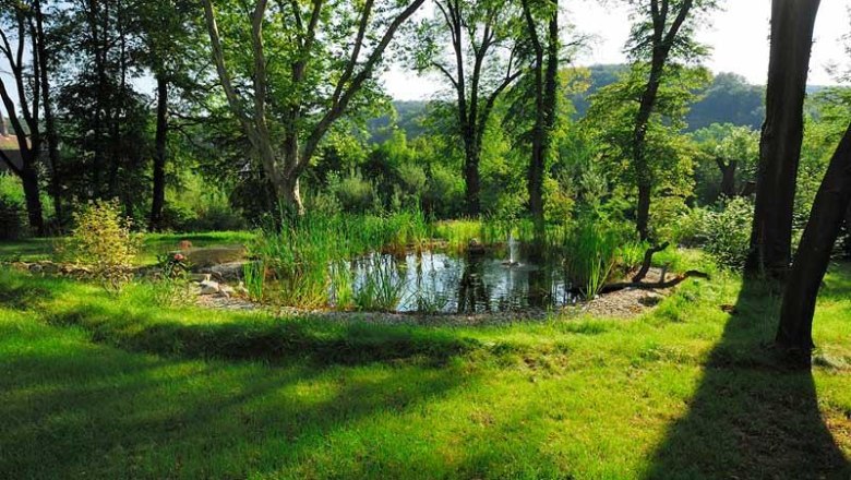 Historic park area, © Schlosspark/mesonic