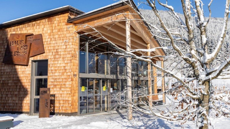 Miesto stretnutia v divočine v Dome divočiny, &copy; Theo Kust