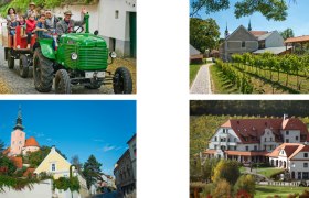 Experience Poysdorf, © VinoVersum Poysdorf / Loizenbauer und Mewald