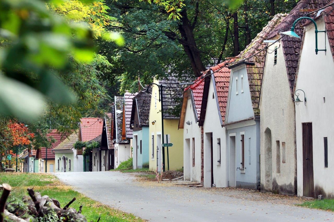 Rad vínnych pivníc v zelenom lesnom prostredí.