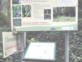 Seelackenbergweg, &copy; Anton Hollaus