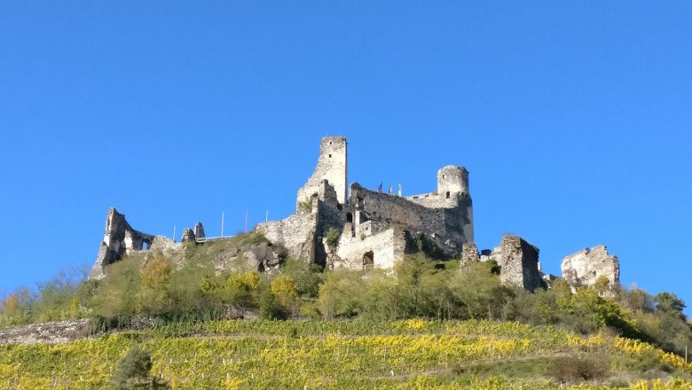 Burgruine Senftenberg Sommer, © Verein zur Erhaltung der Burgruine Senftenberg