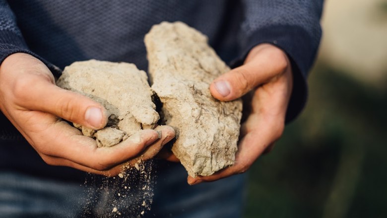 Wine culture Preiss, © Julius Hirtzberger