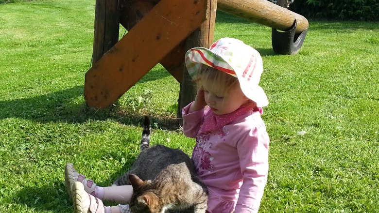 Cuddly cat, © Lothspieler