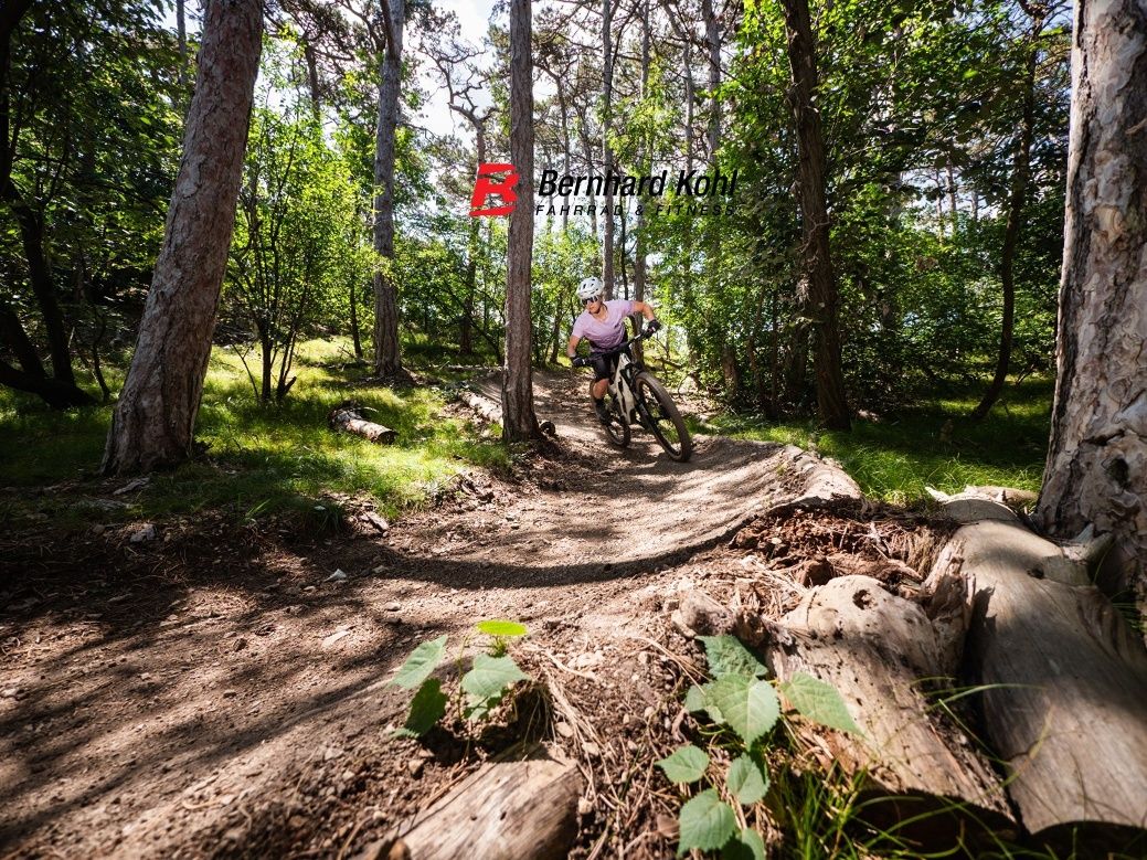 MTB oblasť Anninger