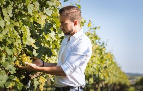 Manuel Tanzberger, &copy; Weingut Tanzberger