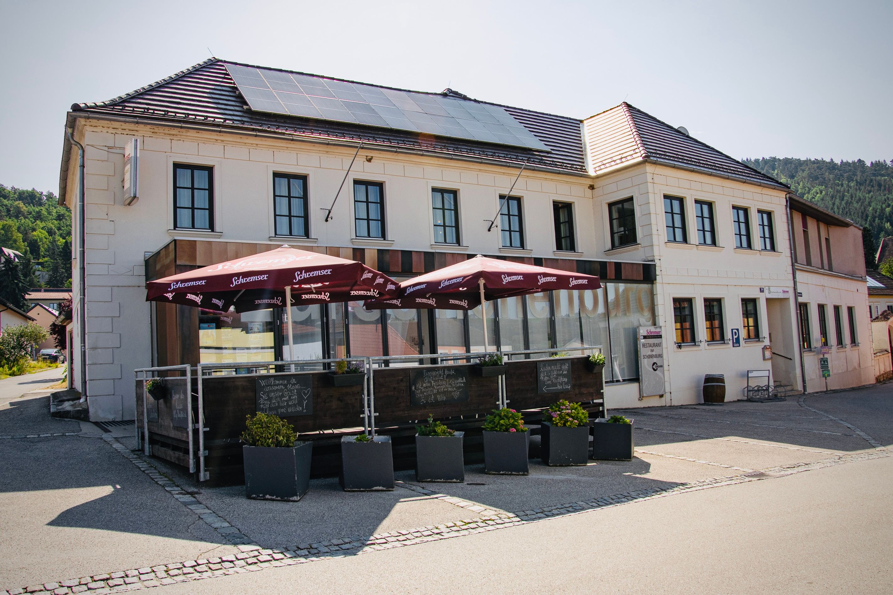 DSC_1001(1)