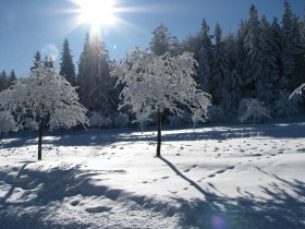 Naturpark Hohe Wand Winterwanderung Tierische Begegnungen, &copy; &copy;Naturpark Hohe Wand