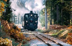 Schmalspurbahn mit Dampflock fährt durch herbstlichen Wald