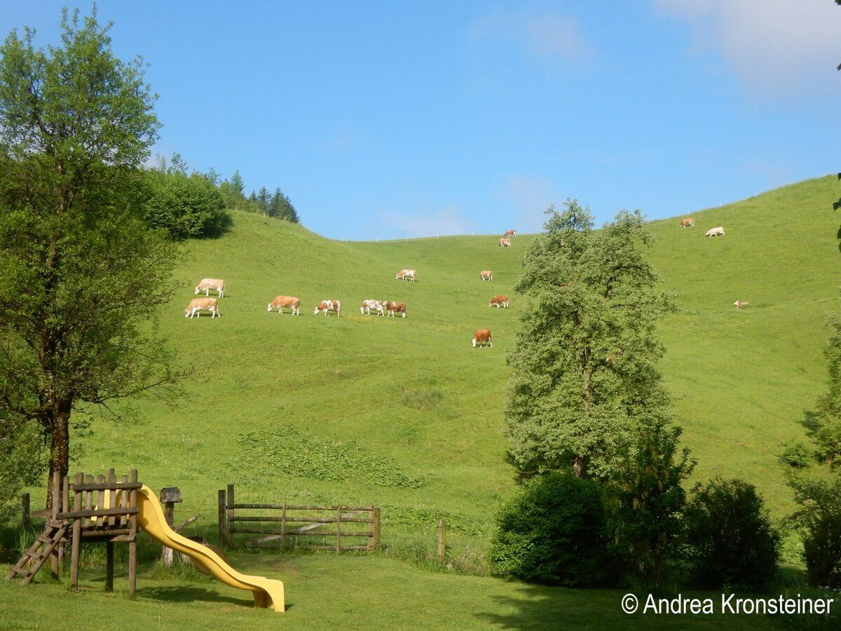 Dovolenka na farme-Oberrehau