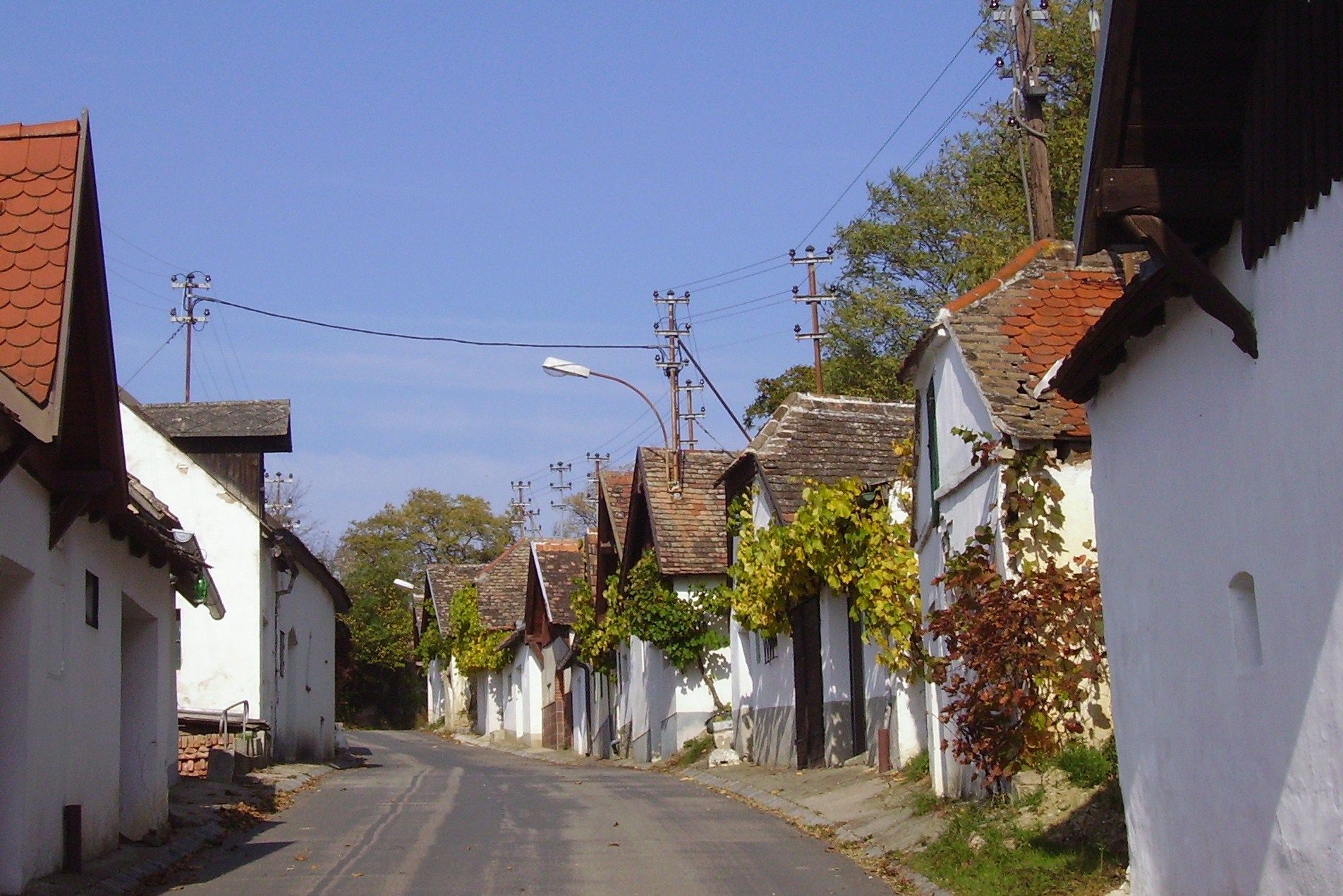 Úzka ulica s tradičnými bielymi domami a viničom na fasádach.
