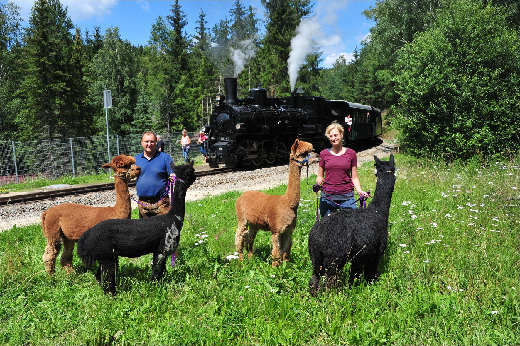 SONNSEITNhof Alpaks a železnica Waldviertel