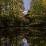 Treehouse Lodge Schrems, © Baumhaus Lodge Schrems