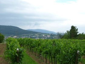 Harzberg, V&ouml;slau, Anninger, &copy; Wienerwald