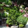 Garten, © Fam. Pointner