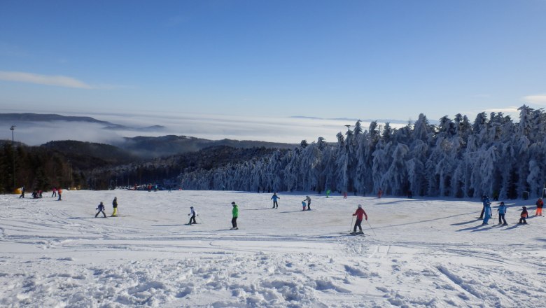 skiing at jauerling-c-ib-donau lower austria, &copy; Donau Nieder&ouml;sterreich_Ingrid Bauer