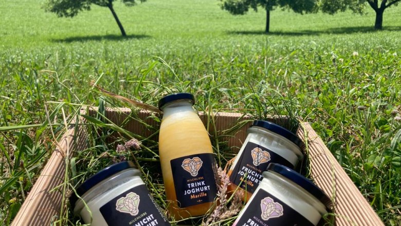 Milk love, Wegbauernhof, &copy; Helen Brandstetter