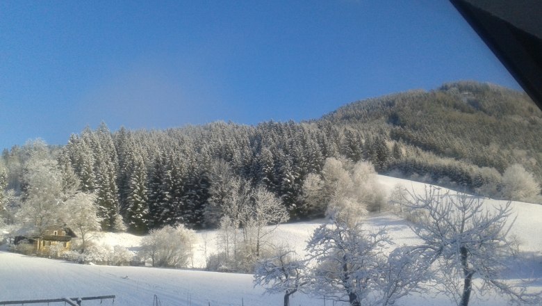 Lunz am See, &copy; Fam. Mayr