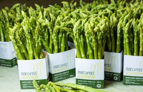 Green asparagus, Spargelhof Magoschitz, Mannsdorf/Donau, &copy; Spargelhof Magoschitz