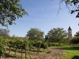 Zellerndorf, &copy; Astrid Bartl