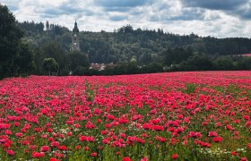Op&aacute;tstvo Zwettl, &copy; Dr. Markus Peham
