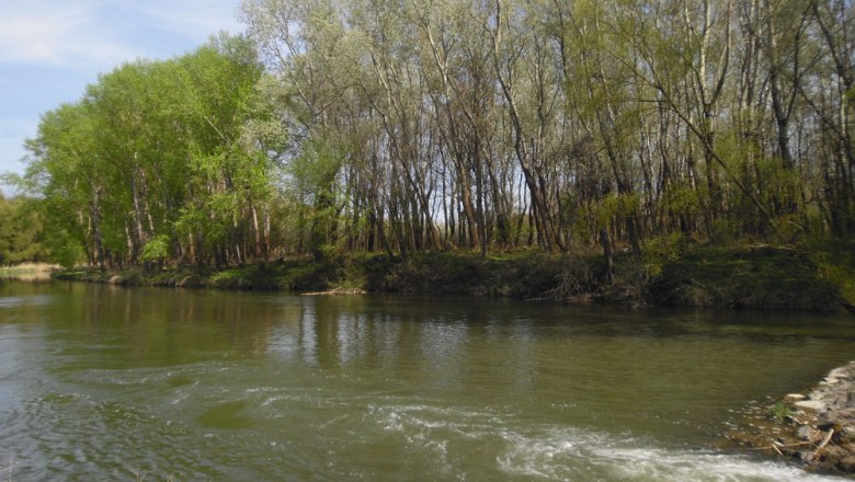 Stockerauer Au, &copy; Stadtgemeinde Stockerau