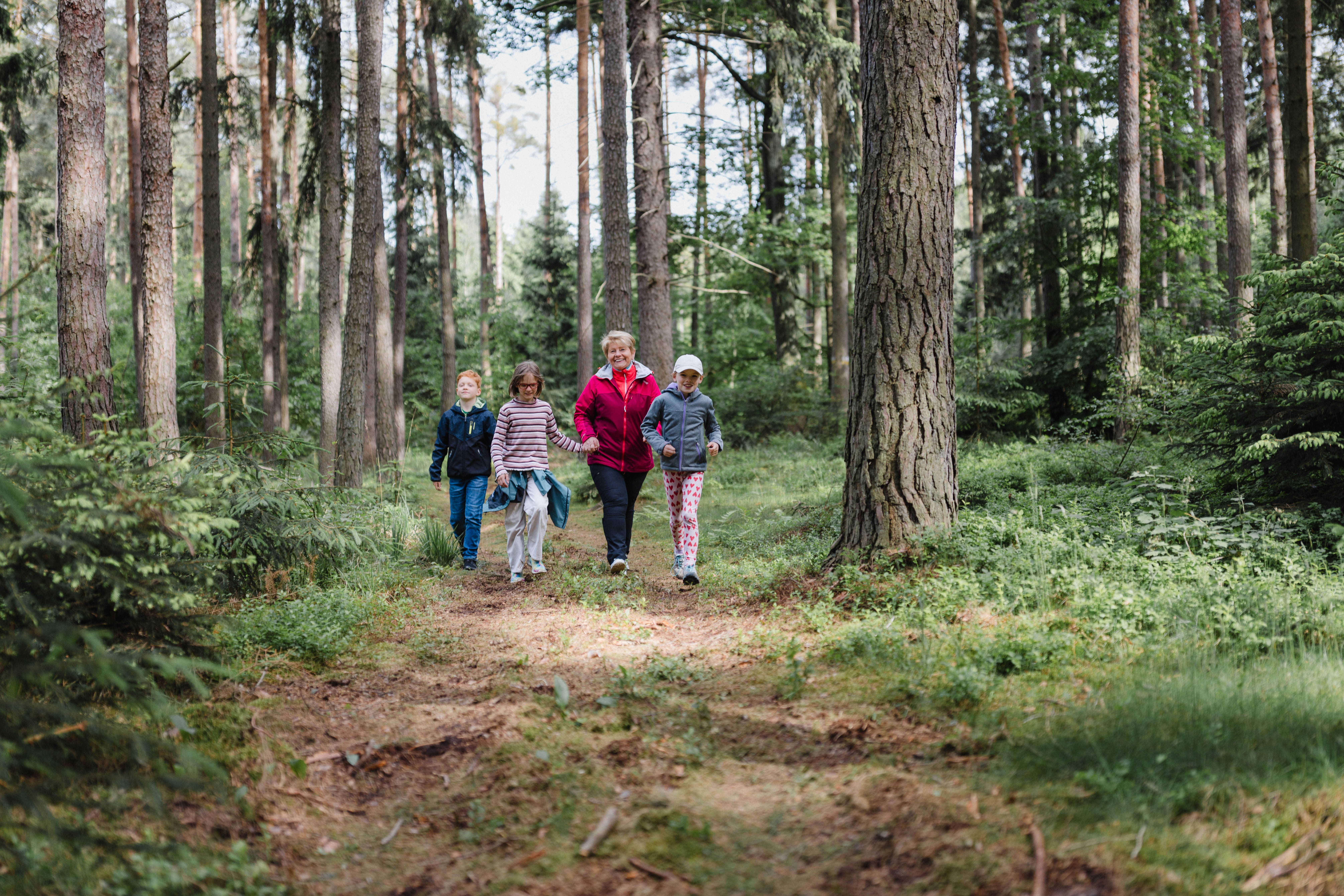 Skupina ľudí kráča po lesnej ceste v liečivom lese Göttweig.