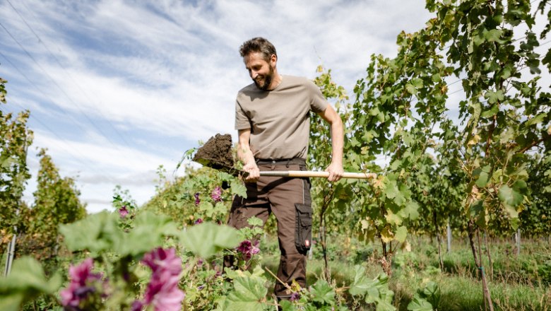 Martin Machalek at work in the vineyard, &copy; Astrid Bartl